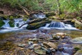 Hidden Wild Mountain Trout Stream Royalty Free Stock Photo