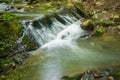 Hidden Wild Mountain Trout Stream Royalty Free Stock Photo