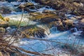 Hidden Wild Mountain Trout Stream Royalty Free Stock Photo