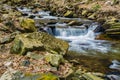 Hidden Wild Trout Stream in the Blue Ridge Mountains Royalty Free Stock Photo