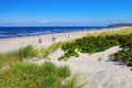 Hiddensee sandy beach in summer Royalty Free Stock Photo