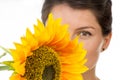 Hide behind sunflower Royalty Free Stock Photo