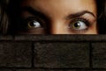 Hide-and-seek Royalty Free Stock Photo