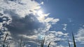 Stunning Cloud and intelligible Blue Sky by Nature Nuts