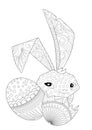 Hide and Seek Easter Bunny with Pattern