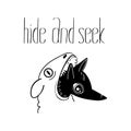 Hide and Seek handlettering typography