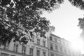 Hide in shadow under tree. View from shadow on sunny sky. Sun rising above building. Urban and architecture. Green