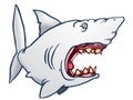 Hideous Shark Royalty Free Stock Photo