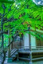 Hideta-ji Temple of early summer Tokyo Chofu City Royalty Free Stock Photo