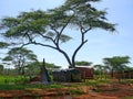 HIDILOLA, ETHIOPIA - NOVEMBER 26, 2008: Unfamiliar children play