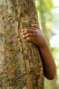 Hiding behind a tree is a man or women holding with one hand Royalty Free Stock Photo