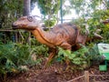 Hiding in a bush tsintaosaurus display model in Perth Zoo Royalty Free Stock Photo