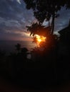 Hiding Sunset In Dark Palm Trees