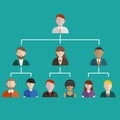 Hierarchy of company flat illustration isolated, human resource Royalty Free Stock Photo