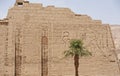Hieroglyphic carvings on an ancient egyptian temple wall Royalty Free Stock Photo