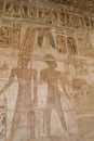 Hieroglyphic paintings at Medinat Habu Temple
