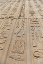 Hieroglyphics in Kom Ombo Temple, Aswan, Egypt Royalty Free Stock Photo