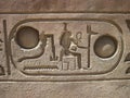 Hieroglyphics in Luxor Temple, Egypt Royalty Free Stock Photo