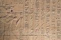 Hieroglyphs in the temple of Kalabsha (Egypt)