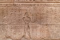 Hieroglyphs in a wall of Ruins of Temple of Horus at Edfu - Egypt Royalty Free Stock Photo