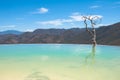 Hierve el Agua, thermal spring, Oaxaca (Mexico) Royalty Free Stock Photo