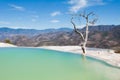 Hierve el Agua, thermal spring, Oaxaca (Mexico) Royalty Free Stock Photo