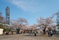 Higashiyama Zoo and Botanical Gardens in the spring sakura cherry blossom season. Nagoya. Japan Royalty Free Stock Photo