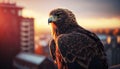 The Sentinel of the City: Majestic Eagle Perched Atop Skyscraper. Generative AI