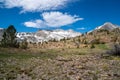 High alpine meadow scenery along the 20 Lakes Basin trail in the Sierra Nevada mountains in California Royalty Free Stock Photo