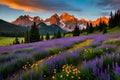 Jagged peaks and colourful wildflowers Royalty Free Stock Photo