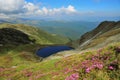 High altitude iezer lake,iezer mountains-romania Royalty Free Stock Photo