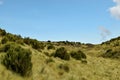 Lake against The high altitude moorland at Mount Kenya Royalty Free Stock Photo