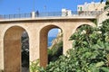 high ancient bridge, Polignano a Mare, beach between two cliffs, fig tree, sea view under the bridge arches Royalty Free Stock Photo