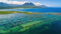 High angle aerial view of a a fish farm off the coast in the blue, sea during day time Royalty Free Stock Photo