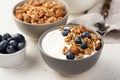 High angle bowls breakfast cereal with blueberries yogurt. High quality and resolution beautiful photo concept