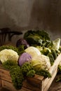 Various organic cabbages in rustic box