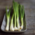 High angle close up of some spring onion. Conceptual image