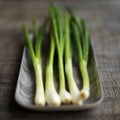 High angle close up of some spring onion. Conceptual image