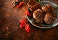 Chocolate Ice Cream with Red Currants in Dish Royalty Free Stock Photo