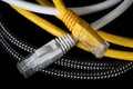 High angle close up view of computer network cable connectors Royalty Free Stock Photo