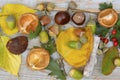 High angle closeup shot of autumn acorns, chest and hazelnuts, and leaves on a wooden background