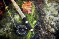 High angle closeup shot of a flyrod on the mossy rock streamside Royalty Free Stock Photo