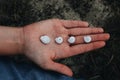 High angle closeup shot of four white snails in a human palm