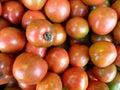 High angle closeup shot of half-ripe tomatoes Royalty Free Stock Photo