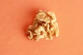 High angle closeup shot of pieces of walnut isolated on an orange surface Royalty Free Stock Photo