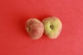 High angle closeup shot of two saturn peaches on a red background