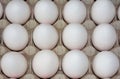 High angle closeup shot of white eggs arranged in an egg carton Royalty Free Stock Photo