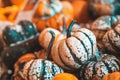 High angle closeup view of an assortment of pumpkins in a heap