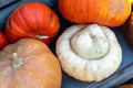 High angle closeup view of an assortment of pumpkins