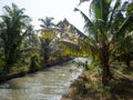 High-angle of coconut plantation canal backwater karela India